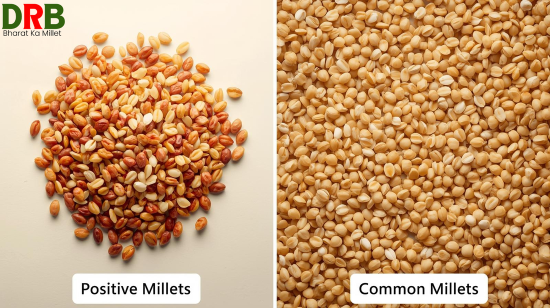 Positive Millets vs Common Millets – कौन सा है असली सुपरफूड?