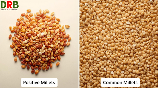 Positive Millets vs Common Millets – कौन सा है असली सुपरफूड?