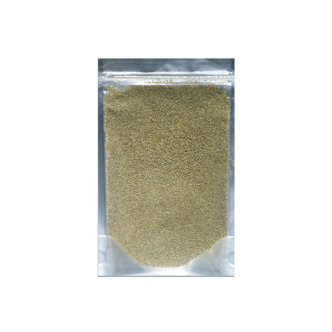 Browntop Millet Whole Grains