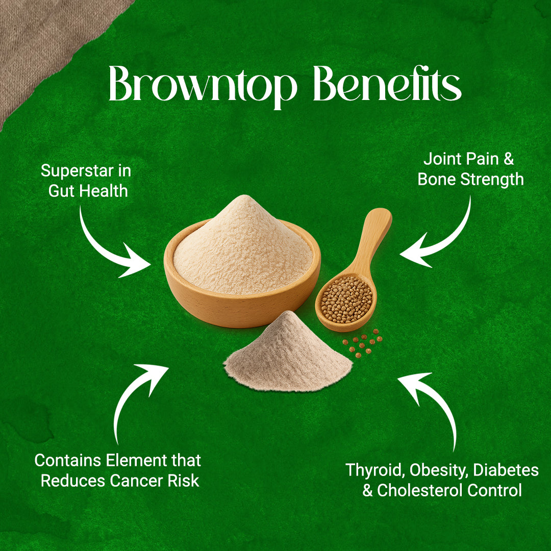 Browntop Millet Whole Grains